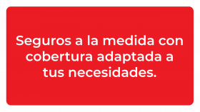 Seguros a la medida con cobertura adaptada a tus necesidades.